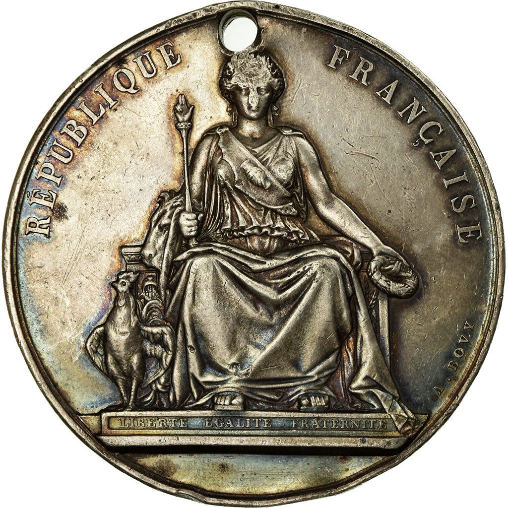 Algeria, Medal, Comice Agricole de Souk-Ahras, 1882, Bovy, EF(40-45), Silver