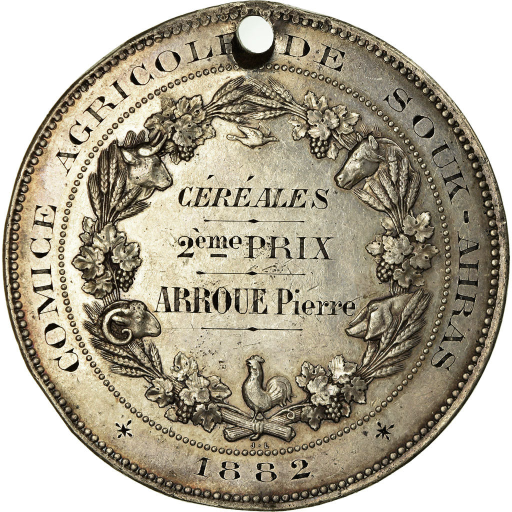 Algeria, Medal, Comice Agricole de Souk-Ahras, 1882, Bovy, EF(40-45), Silver