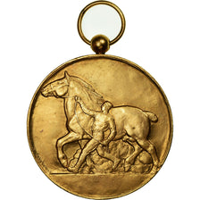 Algieria, Medal, Agriculture, Dépôts de Producteurs d'Algérie, Undated