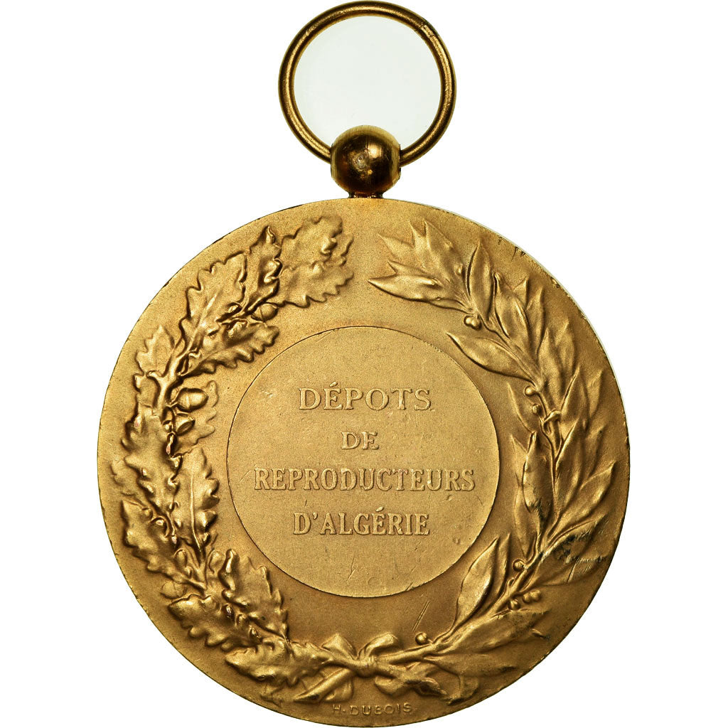 Algeria, Medal, Agriculture, Dépôts de Producteurs d'Algérie, Bouchard