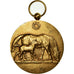 Algeria, Medal, Agriculture, Dépôts de Producteurs d'Algérie, Bouchard