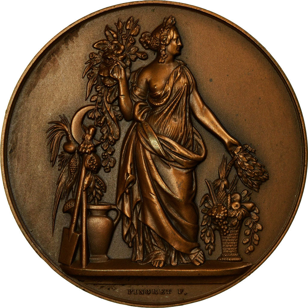 Algeria, Medal, Gouvernement Général de l'Algérie, Territoires du Sud