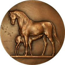 Algeria, Médaille, Ministère du Sahara, Prix Culturaux, V. Peter, SUP+, Bronze