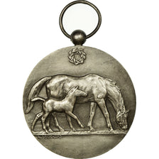 Algeria, Medaille, Chevaux, Dépôts de Reproducteurs D'Algérie, Bouchard, UNZ