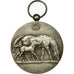 Algeria, Medal, Chevaux, Dépôts de Reproducteurs D'Algérie, Bouchard, MS(63)