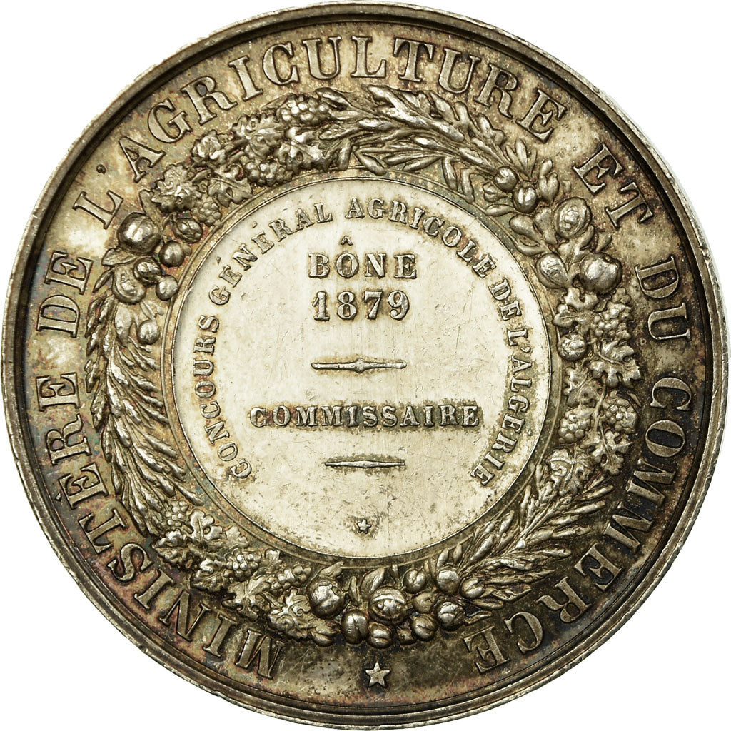 Algeria, Medal, Concours Général Agricole de Bône, 1879, Barre, AU(55-58)