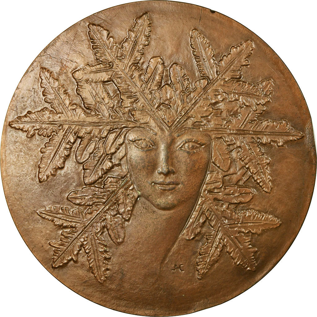 France, Medal, U.S.N.E.F Norfrigo, Nord, Business & industry, 1985, Coeffin