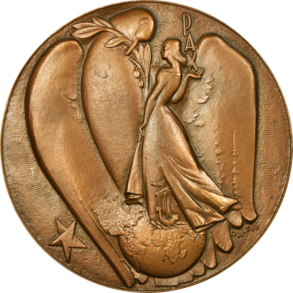France, Medal, Prix France-Allemagne, jumelages, paix, 1991, Galtié, MS(63)