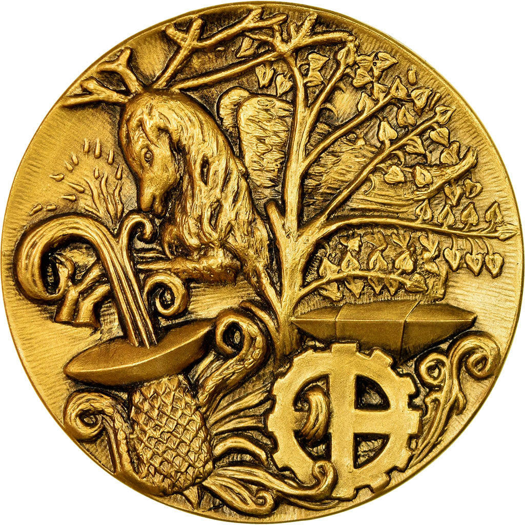Frankrijk, Medaille, Conseil Général de l'Allier, 1971, Munsch Axel, UNC-