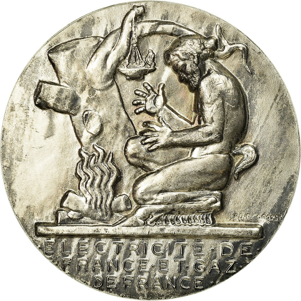 Francja, Medal, Électricité de France et gaz de France, Undated, Dropsy
