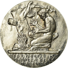 Francja, Medal, Électricité de France et gaz de France, Undated, Dropsy