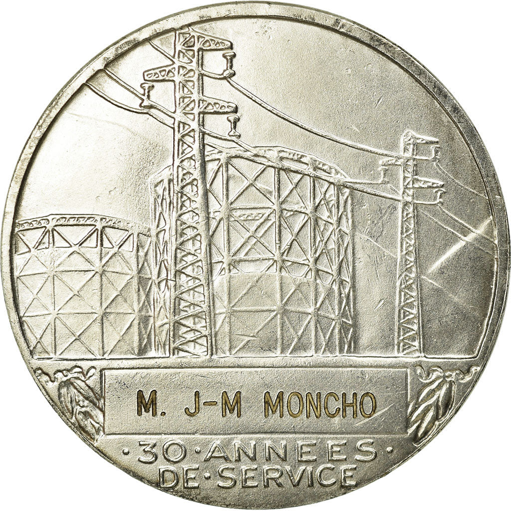 Francja, Medal, Électricité de France et gaz de France, Undated, Dropsy