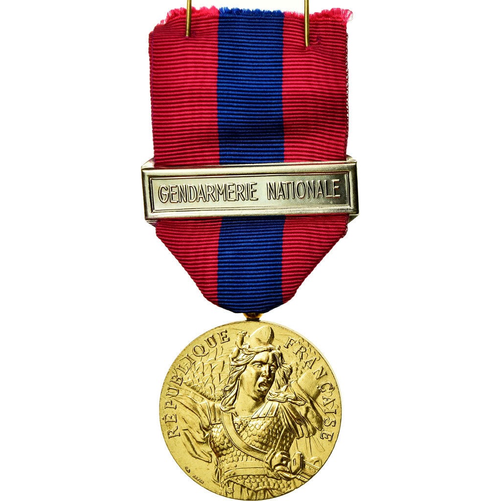 France, Gendarmerie Nationale, Défense, Médaille, Non circulé, Gilt Bronze