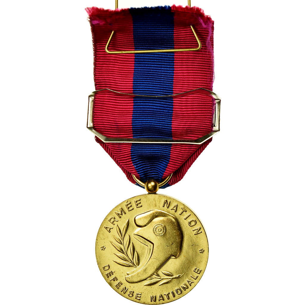 France, Gendarmerie Nationale, Défense, Médaille, Non circulé, Gilt Bronze