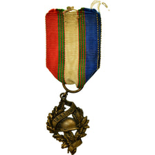 France, Mérite UNC, Droits des Combattants, Médaille, Très bon état, Bronze