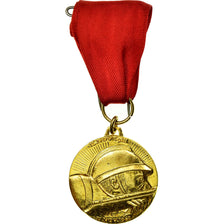 France, Le Département du Calvados, en Hommage aux Combattants, Medal, 1968