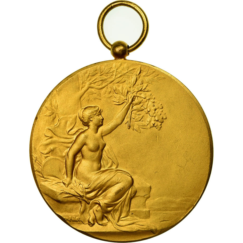 France, Médaille, Art Nouveau, Le Dû aux Mères Prépare l'Avenir, Pillet