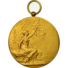 France, Médaille, Art Nouveau, Le Dû aux Mères Prépare l'Avenir, Pillet