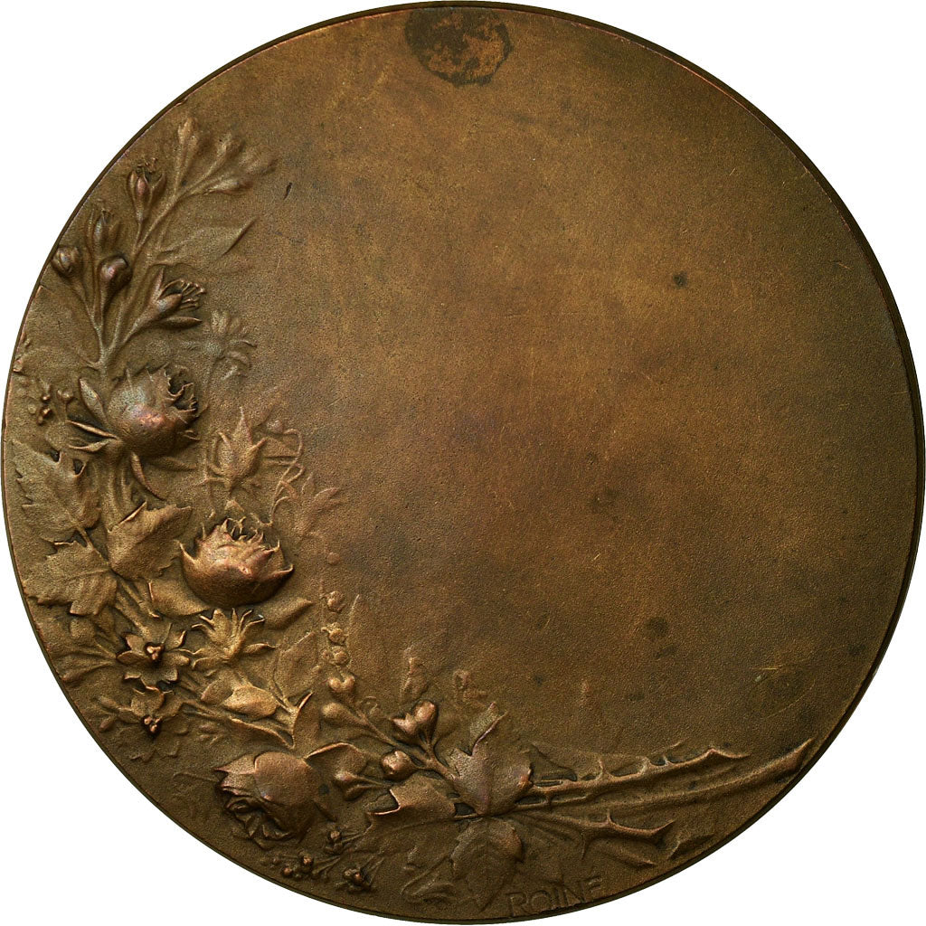 France, Medal, Jour de Naissance, Roiné, AU(55-58), Bronze