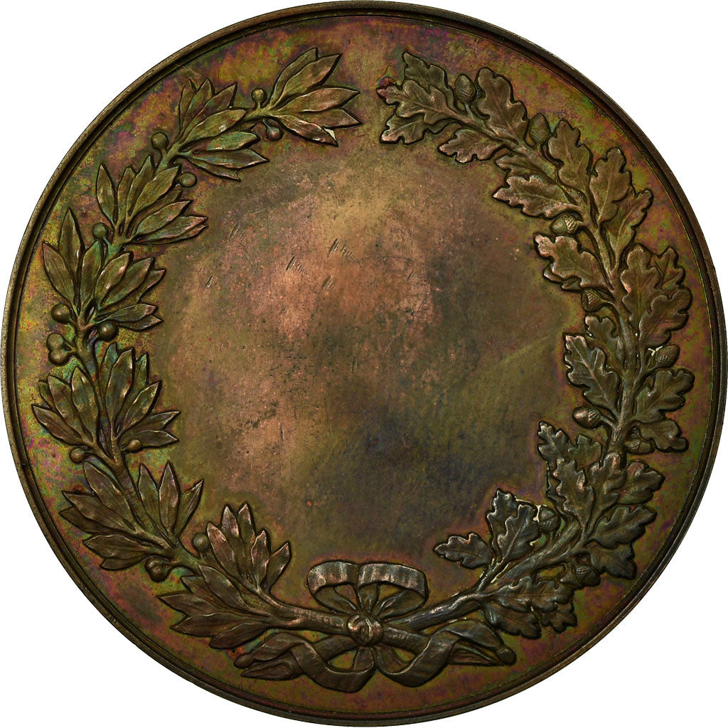 Switzerland, Medal, Ecole des Beaux Arts, Ville de Genève, Bovy, MS(63), Copper