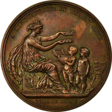 Switzerland, Medal, Ecole des Beaux Arts, Ville de Genève, Bovy, MS(63), Copper