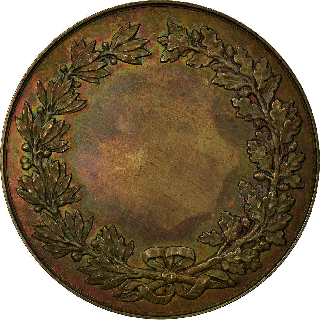 Switzerland, Medal, Ecole des Beaux Arts, Ville de Genève, Bovy, MS(63), Copper