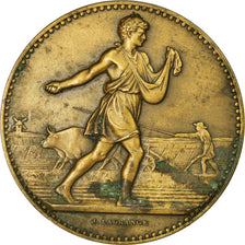 France, Medal, Agriculture, Mr Cherfils, Conseiller Général, Lagrange
