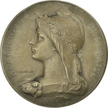 France, Medal, Préfet de la Seine-Inférieure, Roty, MS(63), Silver