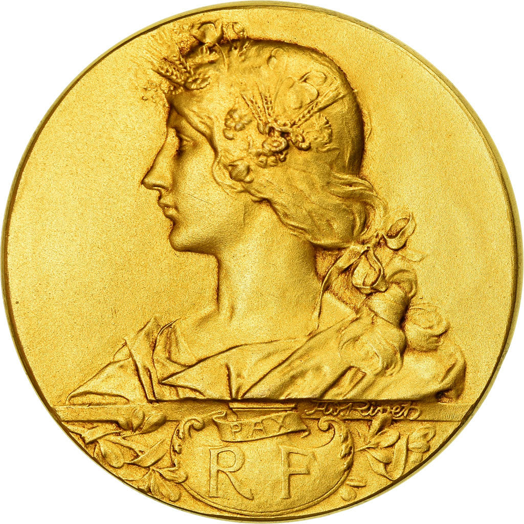 France, Médaille, Société d'Agriculture de Dieppe, Rivet, SPL, Gilt Bronze