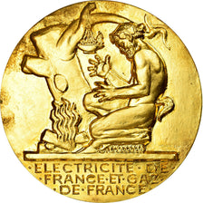 France, Médaille, Électricité de France et gaz de France, Dropsy, SPL, Gilt