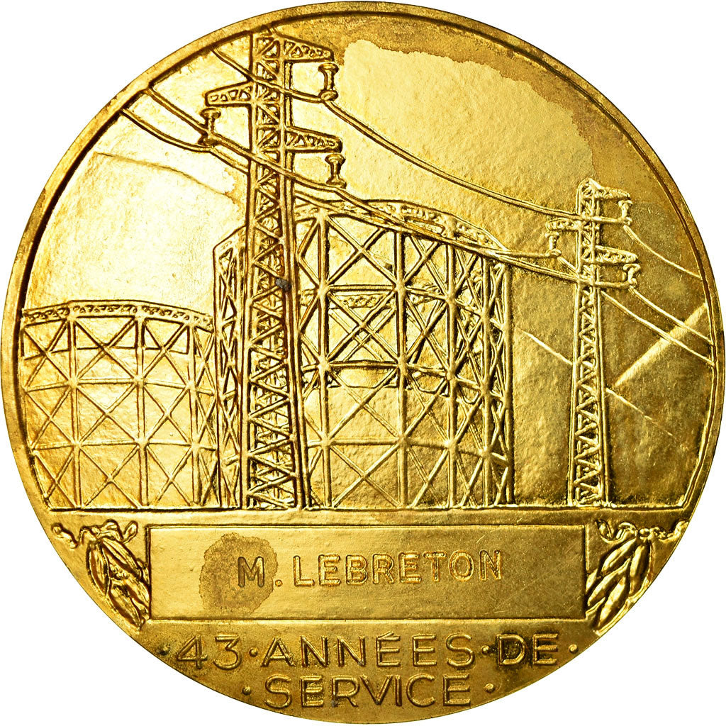 France, Médaille, Électricité de France et gaz de France, Dropsy, SPL, Gilt
