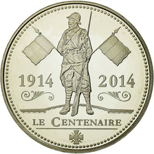 France, Médaille, Centenaire de la Première Guerre Mondiale, Armistice, FDC