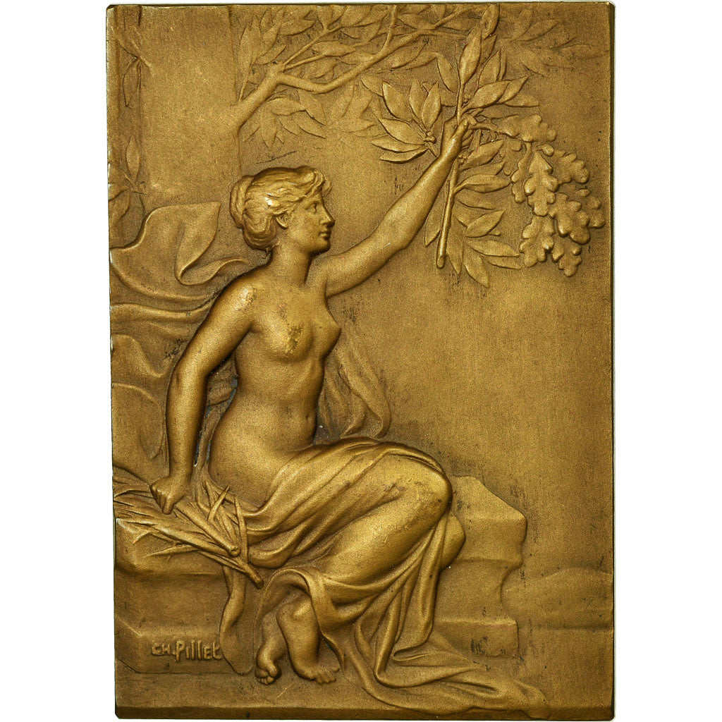 Francia, medaglia, Art Nouveau, Femme Assise, Pillet, SPL, Bronzo
