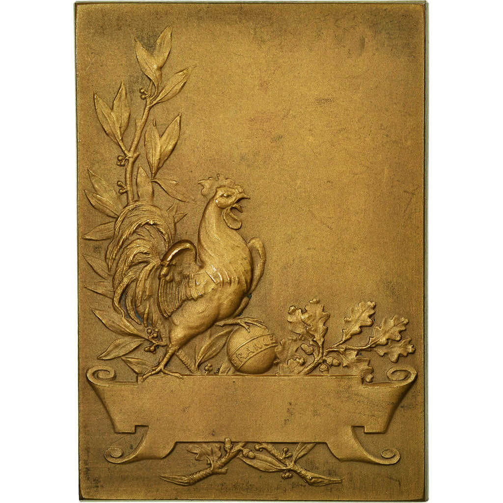 Francia, medaglia, Art Nouveau, Femme Assise, Pillet, SPL, Bronzo