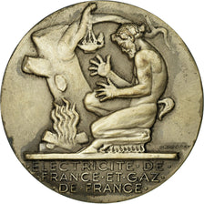 Frankrijk, Medaille, Électricité de France et gaz de France, Dropsy, PR+