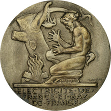 Frankrijk, Medaille, Électricité de France et gaz de France, Dropsy, PR