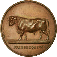 Sweden, Medal, Agriculture, Prisbelöning, Ahlborn, AU(50-53), Copper