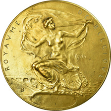 Belgien, Medaille, Exposition Universelle de Liège, 1905, Dubois Paul, SS+