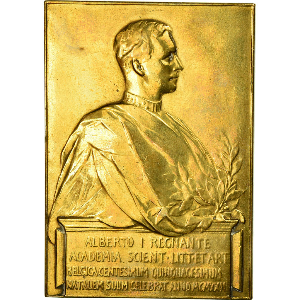 Belgique, Médaille, Alberto Ier, Academie Scientifique et Littéraire, Arts &