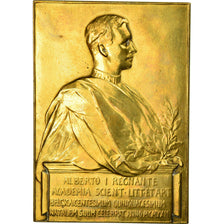 Belgique, Médaille, Alberto Ier, Academie Scientifique et Littéraire, Arts &
