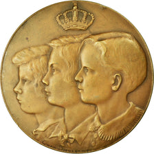 Belgique, Médaille, Royal Children, 1938, Van Dionant, TTB+, Bronze
