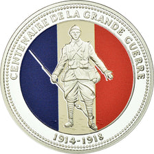 France, Medal, Centenaire de la Grande Guerre, MS(65-70), Silver