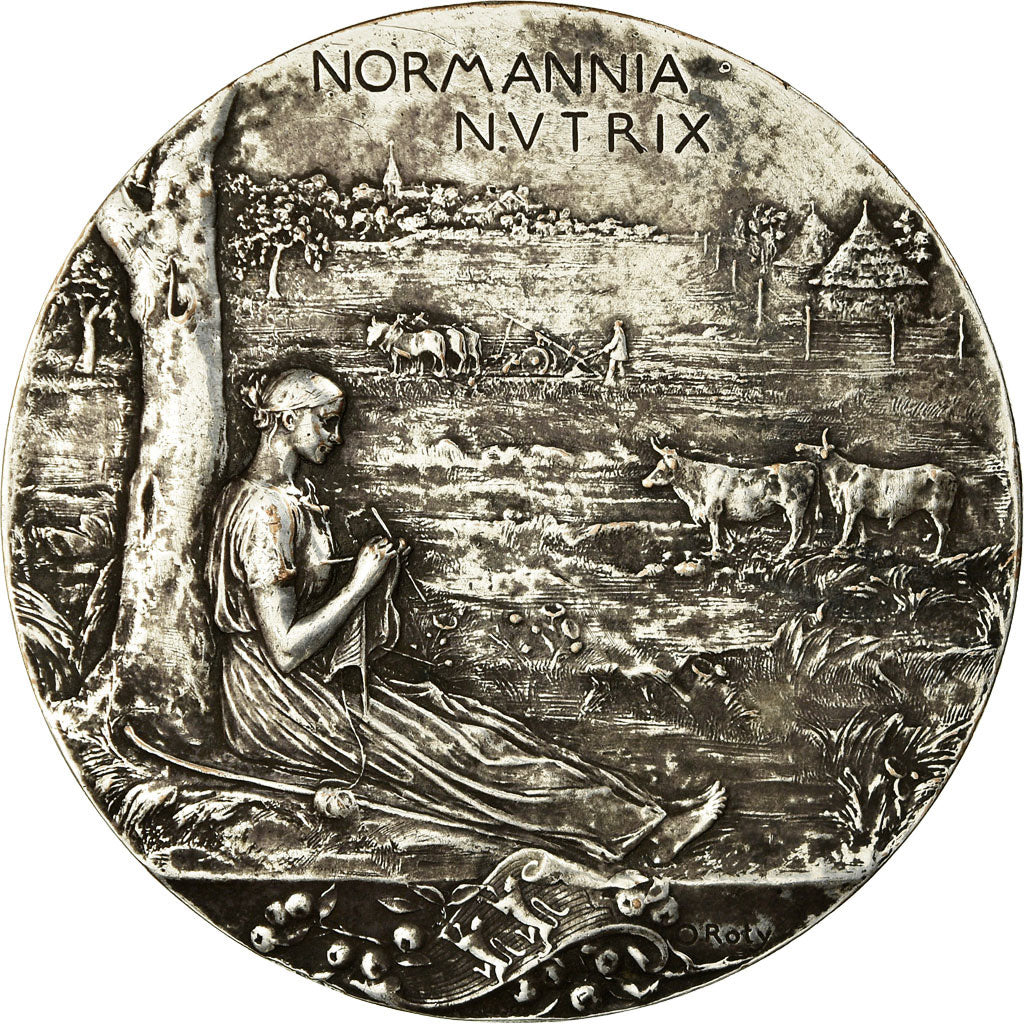 França, Medal, Exposition Nationale et Coloniale de Rouen, 1896, O.Roty