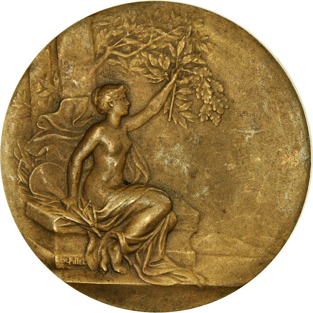 Francja, Medal, Art Nouveau, Femme nue, Pillet, AU(50-53), Bronze