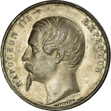 Italy, Medal, Napoléon III, Alliance Franco-Sarde pour l'Indépendance de