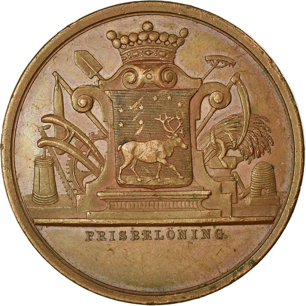 Sweden, Medal, Oscar II, Priseelöning, History, Ahlborn, EF(40-45), Copper