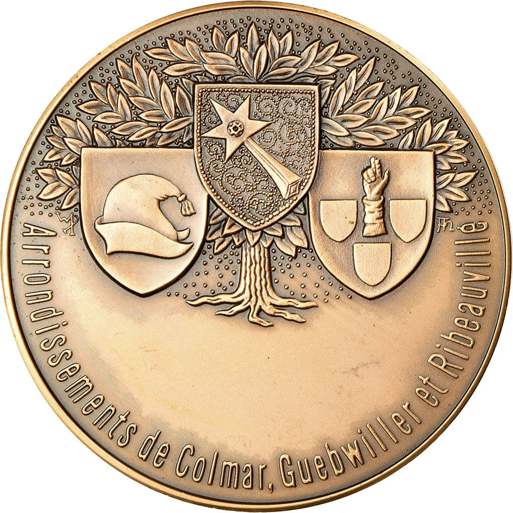 France, Medal, Chambre de Commerce et d'Industrie de Colmar, MS(64), Bronze