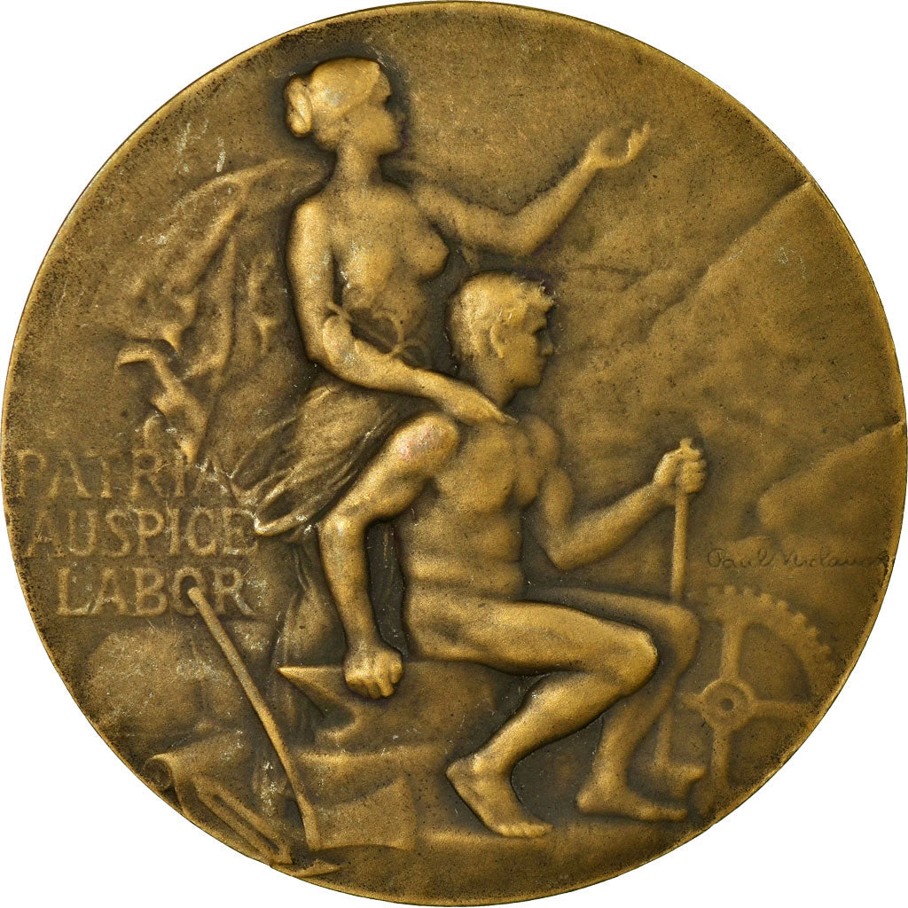 França, Medal, Chambre de Commerce d'Epinal, Michaux, AU(55-58), Bronze
