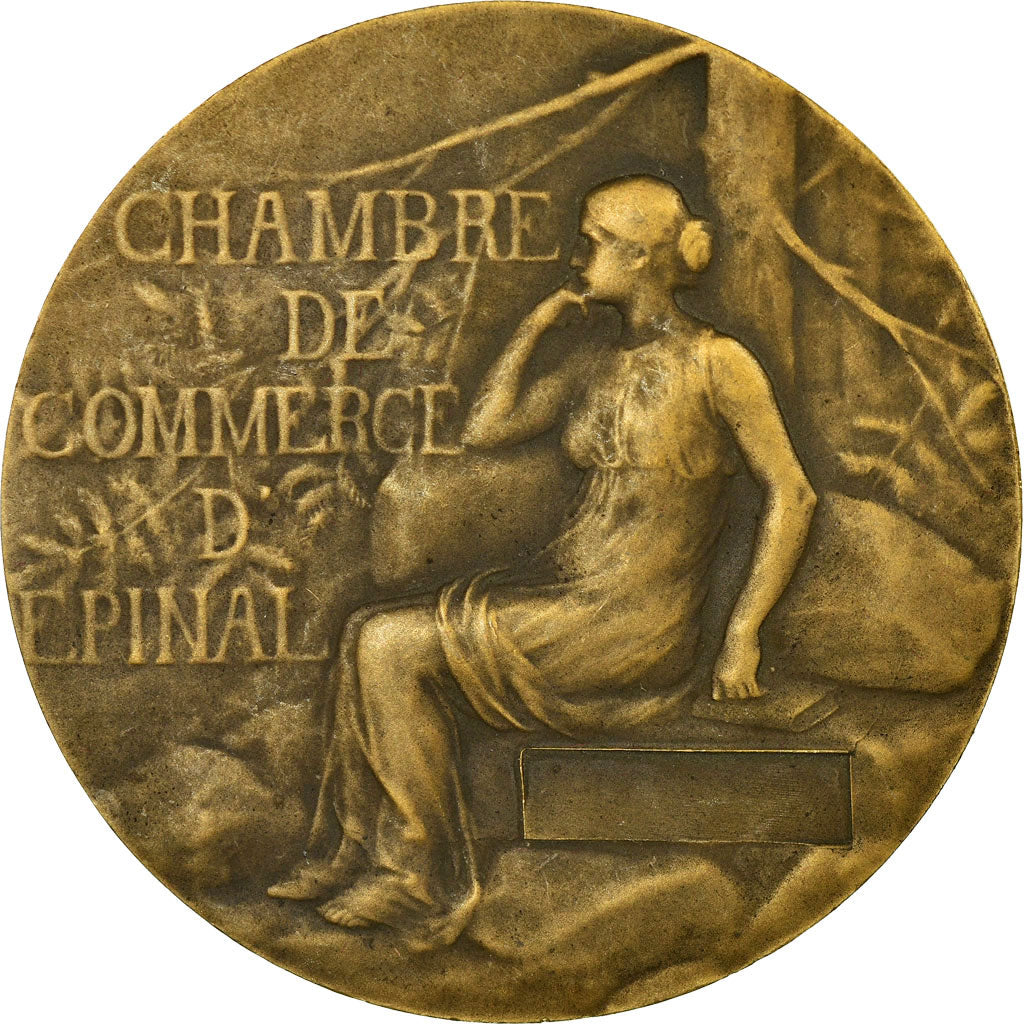 França, Medal, Chambre de Commerce d'Epinal, Michaux, AU(55-58), Bronze
