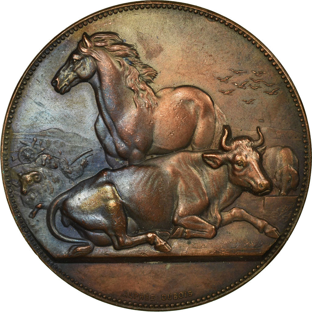 Francia, medaglia, Comice agricole de l'arrondissement de Rouen, Dubois.A, SPL